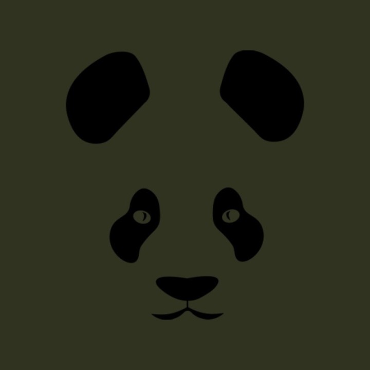 Tip Top Tshirt - T-shirt Femme Panda - Made in France