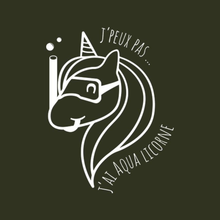 Tip Top Tshirt - T-shirt Femme Aqua licorne - Made in France