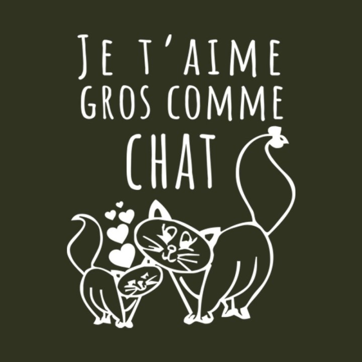 Tip Top Tshirt - T-shirt Femme Je t'aime gros comme chat - Made in France