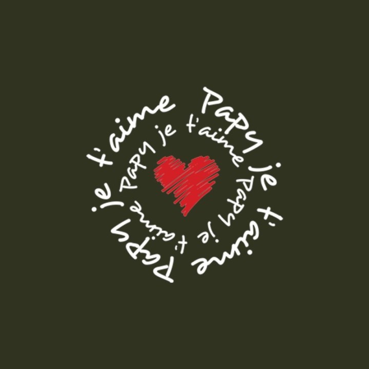 Tip Top Tshirt - T-shirt Homme Papy je t'aime - Made in France