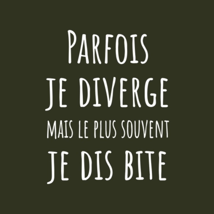 Tip Top Tshirt - T-shirt Homme Parfois je diverge - Made in France