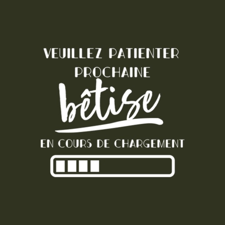 Tip Top Tshirt - T-shirt Homme Bêtise en cours de chargement - Made in France