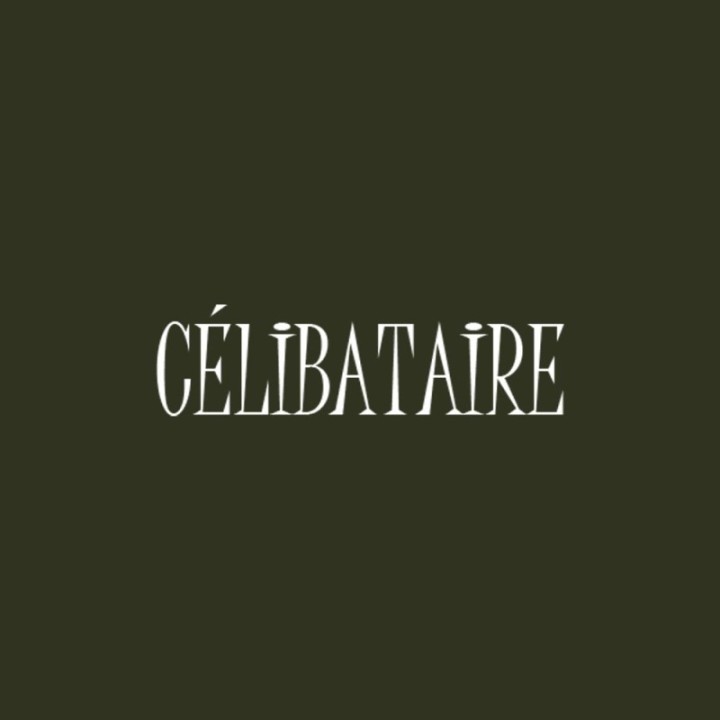 Tip Top Tshirt - T-shirt Homme Célibataire - Made in France